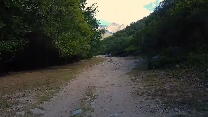 Camino de tierra internándose en la arboleda del terreno, con las sierras al fondo